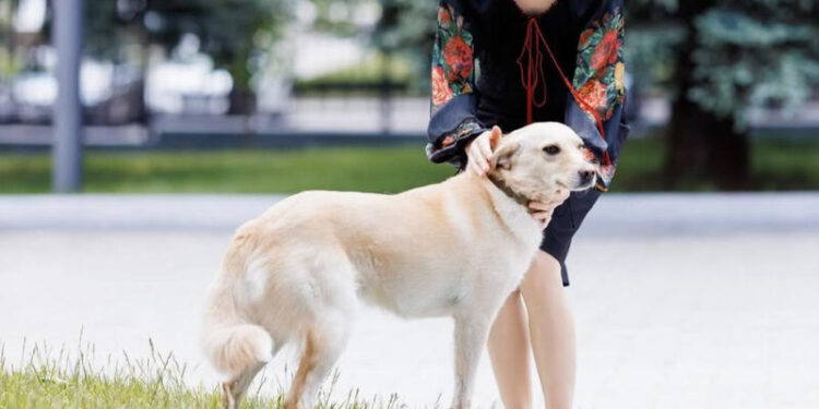 Acces doar pentru cei galbeni. Înca unui media i s-a refuzat acreditarea la Președinție