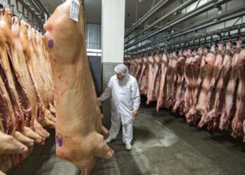 Focarele Africane a Pestei Porcină din Moldova Nu Afectează Securitatea Alimentară a Țării