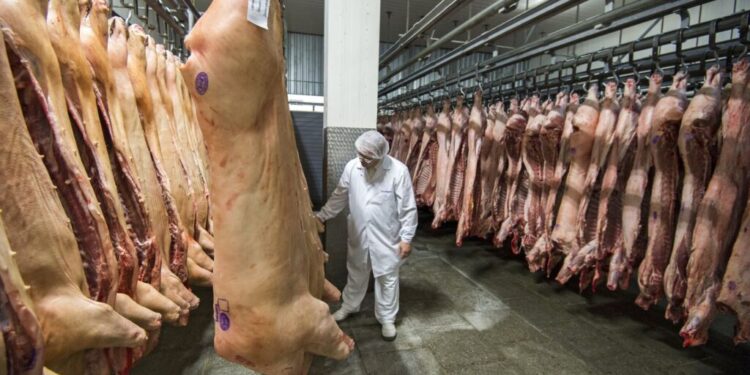 Focarele Africane a Pestei Porcină din Moldova Nu Afectează Securitatea Alimentară a Țării