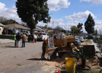 Numărul morților, în urma tornadelor din SUA, crește la 33