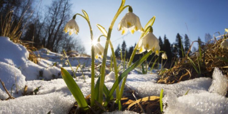 Vreme stabilă în Republica Moldova: Prognoza pentru astăzi și zilele următoare