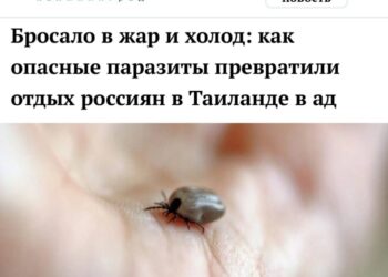 Vacanță transformată în coșmar: turiști ruși, atacați de căpușe în Thailanda