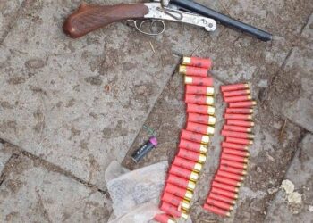 Percheziție în Călărași: Polițiștii au descoperit arme și muniții ilegale