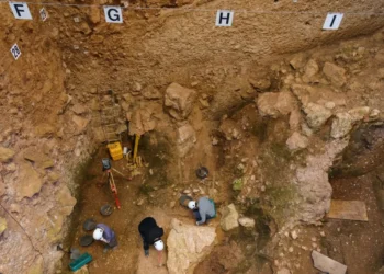 Descoperire importantă în Spania: Oase faciale de 1,4 milioane de ani ar putea aparține unei specii umane necunoscute