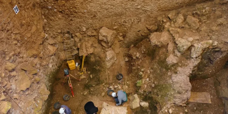 Descoperire importantă în Spania: Oase faciale de 1,4 milioane de ani ar putea aparține unei specii umane necunoscute