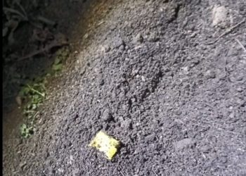 Grupare infracțională de tineri destructurată în Sîngerei pentru trafic ilegal de droguri