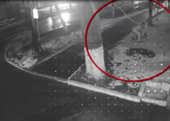 Doi tineri reținuți pentru jafuri stradale în centrul Chișinăului