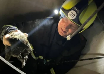 Criuleni: Cățel salvat de pompieri după ce a căzut într-o fântână de 15 metri