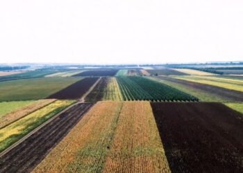 Obligații noi pentru proprietarii de terenuri agricole, atenționează MAIA