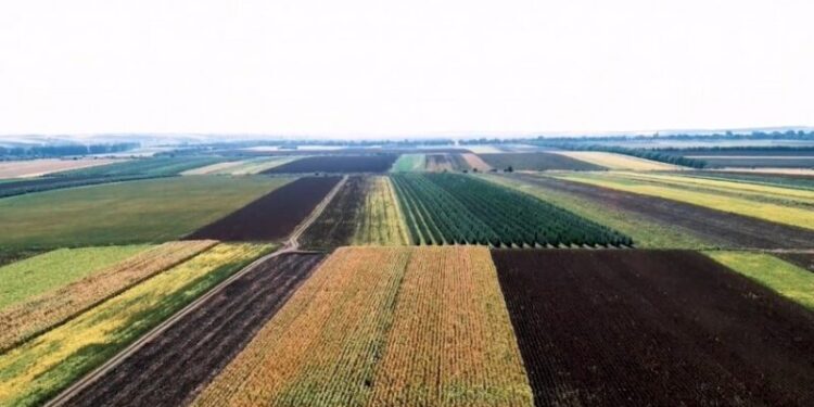 Obligații noi pentru proprietarii de terenuri agricole, atenționează MAIA