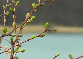 Vreme rece și cer variabil în toată țara