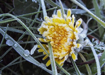 Codul Galben de înghețuri prelungit în Moldova până pe 14 aprilie