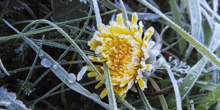 Codul Galben de înghețuri prelungit în Moldova până pe 14 aprilie