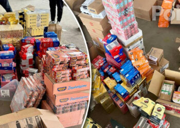 Un lot de produse alimentare de contrabandă în valoare de peste 120.000 de lei, depistat de Serviciul Vamal