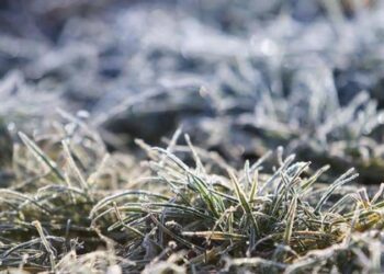 Meteorologii, cu avertizări, despre producerea unui „fenomen atmosferic periculos”: Nu vă expuneți la frig în orele dimineții și îmbrăcați-vă călduros. Când intră în vigoare alerta