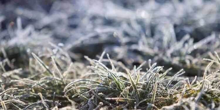 Meteorologii, cu avertizări, despre producerea unui „fenomen atmosferic periculos”: Nu vă expuneți la frig în orele dimineții și îmbrăcați-vă călduros. Când intră în vigoare alerta