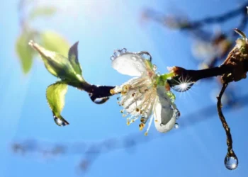 Vreme rece și înnorată, cu ploi slabe pe alocuri