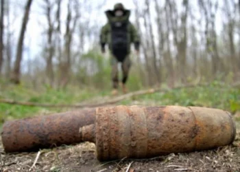 Geniștii din Batalionul „Codru” au distrus 23 de proiectile în raionul Ștefan Vodă