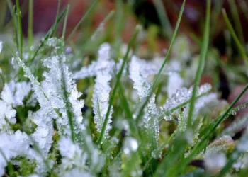 Fără ploi, dar cu frig: început de săptămână sub influența unui vânt rece