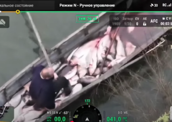 Cu barca plină de pește: Patru braconieri din Cahul, prinși cu peste 100 kg de „marfă” și sute de metri de plase, în apele râului Prut