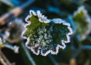 Vreme rece și înnorată astăzi, cu precipitații ușoare