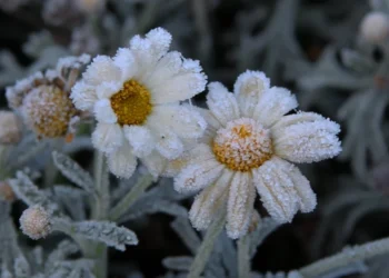 Prognoza meteo pentru 12 aprilie