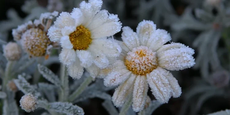 Prognoza meteo pentru 12 aprilie