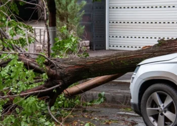 Vînt puternic în Chișinău: unde puteți suna în caz de urgență