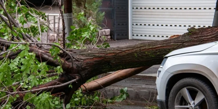 Vînt puternic în Chișinău: unde puteți suna în caz de urgență