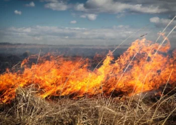 Pericol de incendii și accidente din cauza vîntului: ce recomandă salvatorii