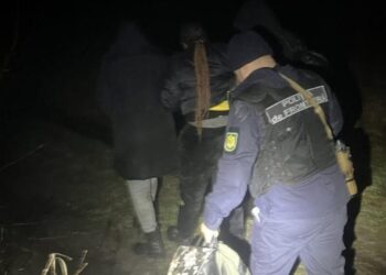 Tentativă de migrație ilegală dejucată la frontiera moldo-română