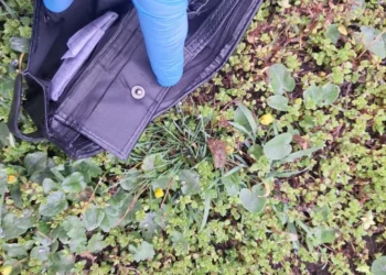 Tentativă de trecere ilegală a frontierei dejucată de polițiștii de frontieră