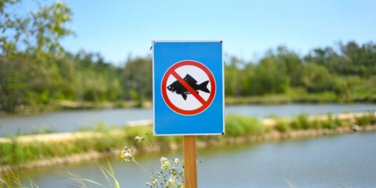 Prohibiție la pescuit până pe 14 iunie: IPM informează și avertizează populația