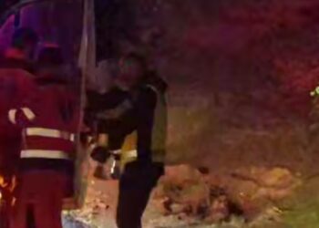 Zeci de oameni au căutat toată noaptea o fetiță dispărută în pădure — a fost găsită în viață