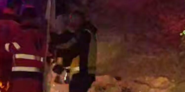 Zeci de oameni au căutat toată noaptea o fetiță dispărută în pădure — a fost găsită în viață