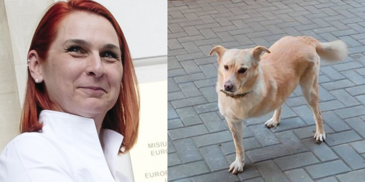 Nimeni nu a trecut concursul pentru șefia așa-zisului centru „Patriot”. Cine au fost candidații?