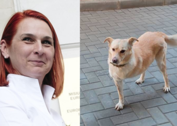 ULTIMA ORĂ // Ana Revenco rămâne la conducerea Centrului pentru cenzură, după eșuarea concursului