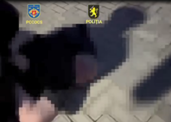 Captură de marijuana de 300.000 lei la Cahul și arme deținute ilegal