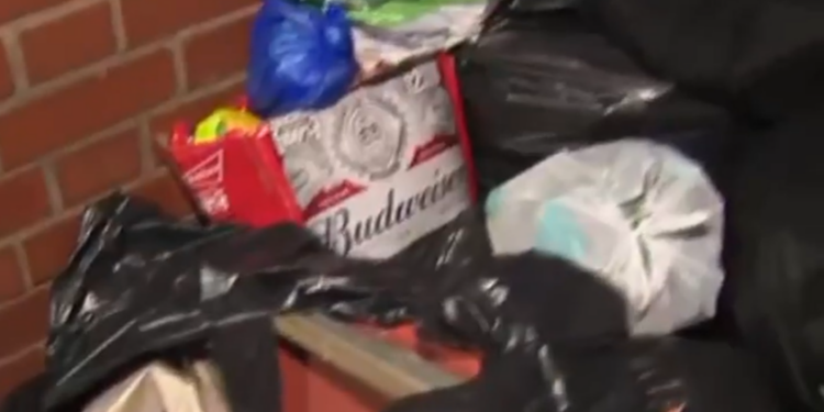 „Nu mai e Marea Britanie”: O femeie șochează cu imagini și acuzații despre declinul Birminghamului.